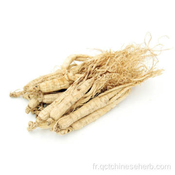 Ginseng Radix Et Rhizoma de qualité supérieure